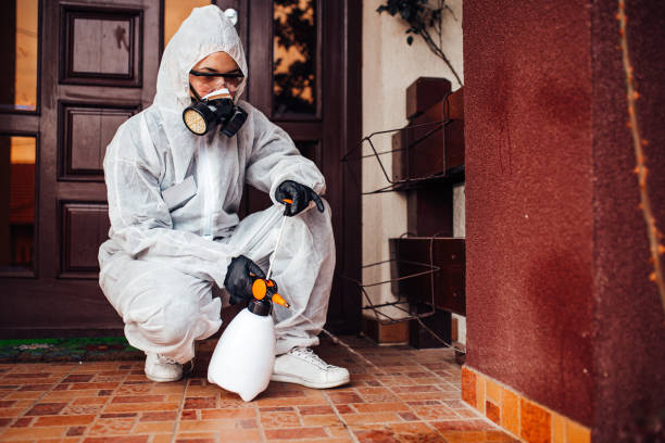 Reliable Ant Control contractor in Hesston, KS by Show Me Pest Control